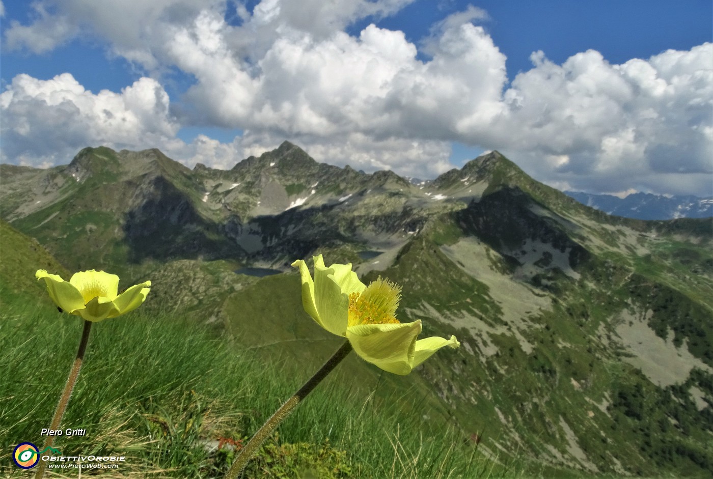 02 Da Cima Lemma con pulsatille alpine sulfuree vista verso i Laghi di Porcile con i soprastanti Cima Cadelle al centro e Monte Valegino a dx.JPG